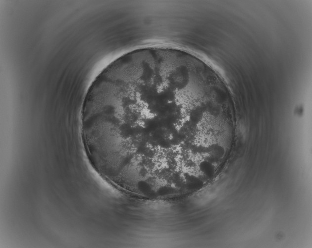 X0000091331239200708171344