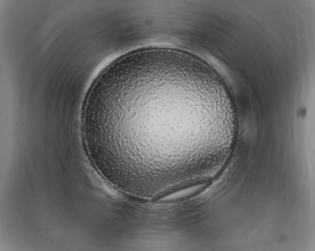 X0000091331240200708171344