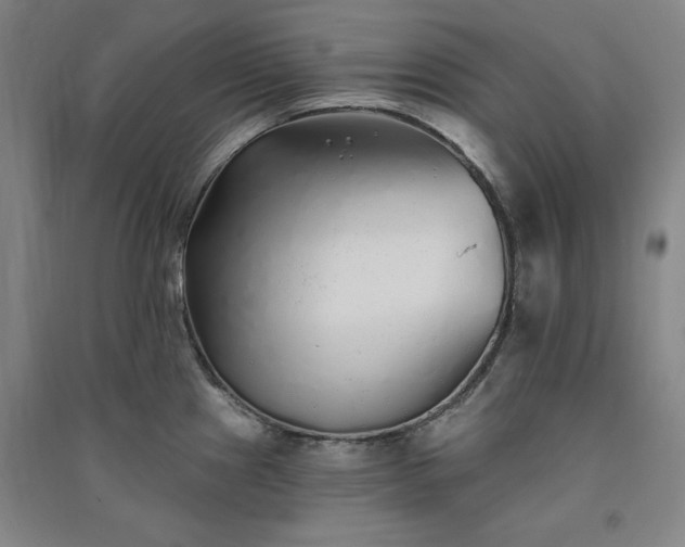 X0000091331241200708171344