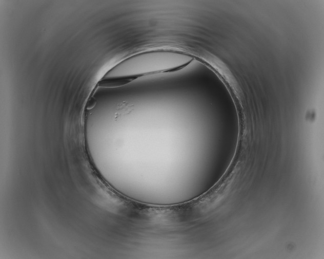 X0000091331242200708171344