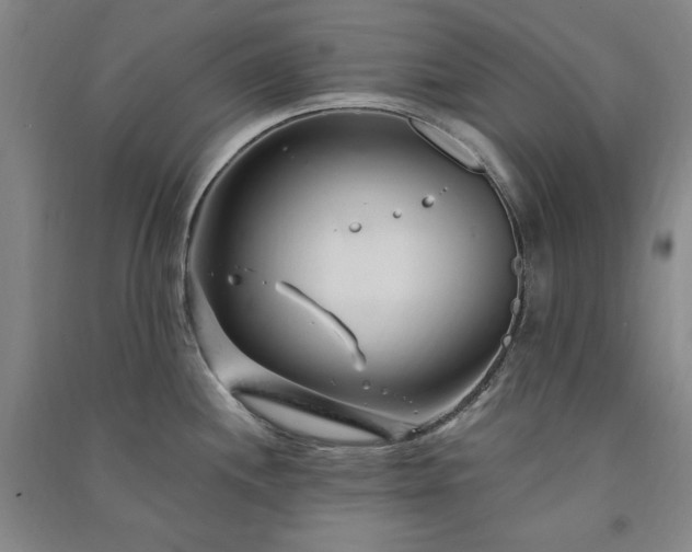 X0000091331244200708171344