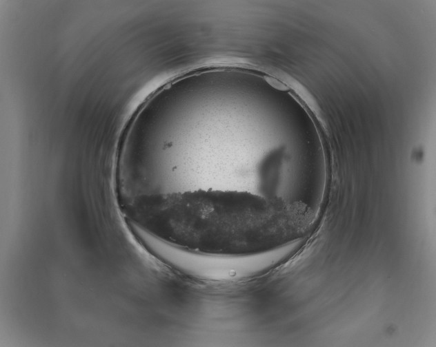 X0000091331245200708171344