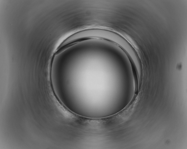 X0000091331246200708171344