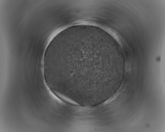 X0000091331247200708171345