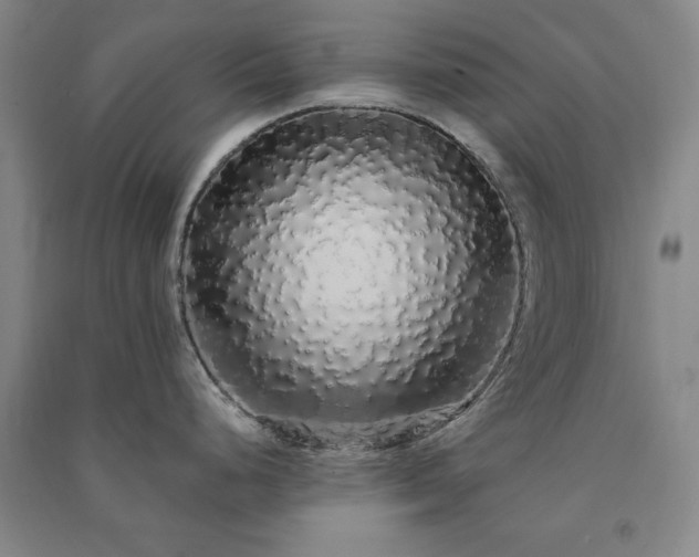 X0000091331248200708171345