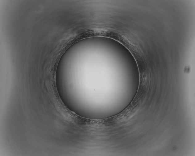 X0000091331249200708171344