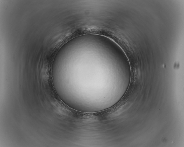 X0000091331250200708171344