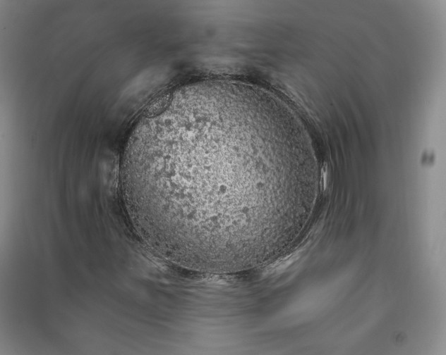 X0000091331251200708171344