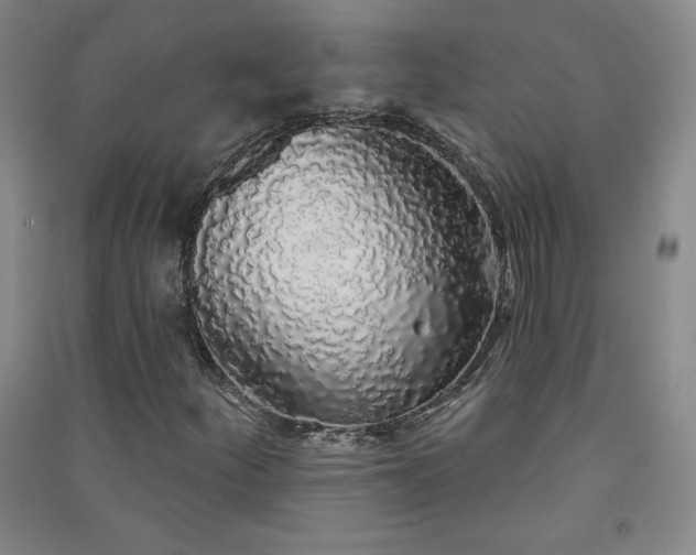 X0000091331252200708171344