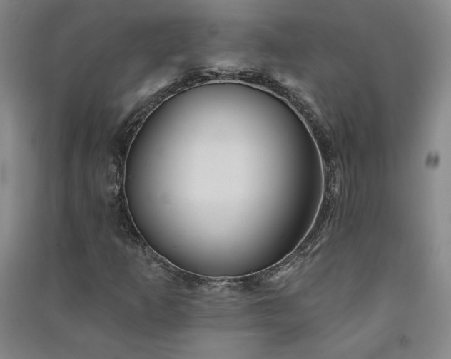 X0000091331253200708171344