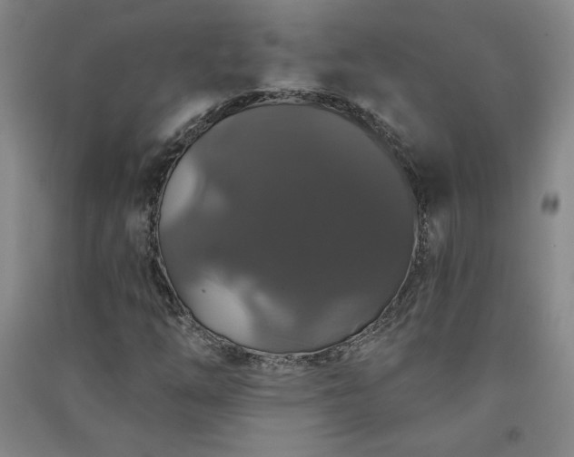 X0000091331254200708171344