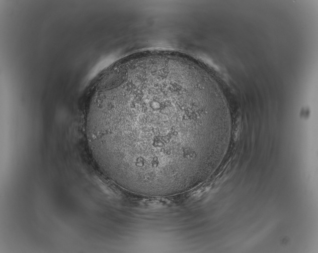 X0000091331255200708171344