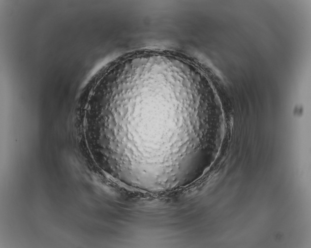 X0000091331256200708171344