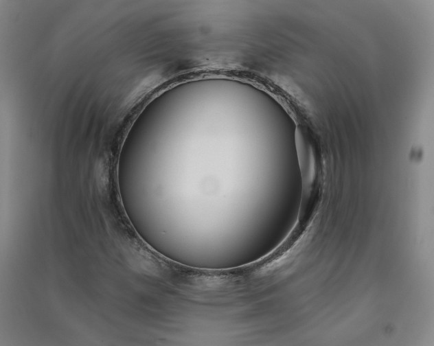 X0000091331257200708171344