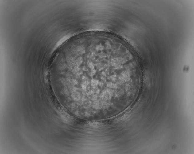 X0000091331258200708171344