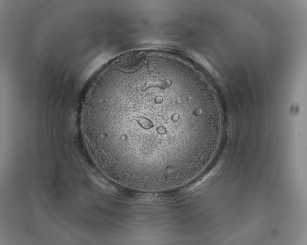 X0000091331259200708171344