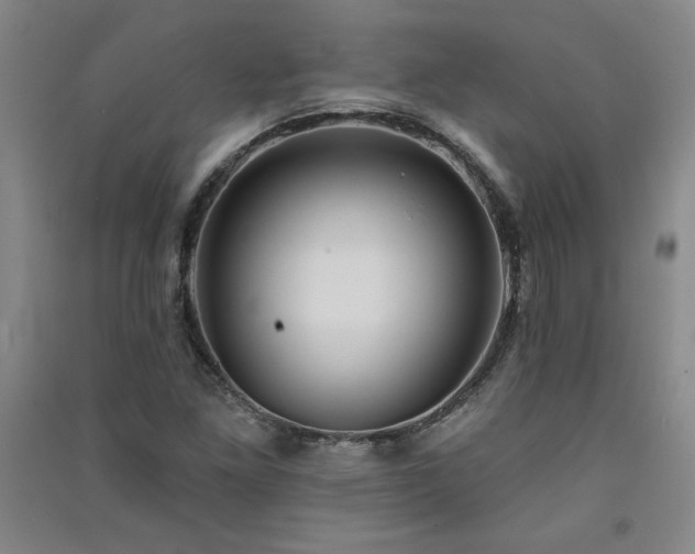 X0000091331261200708171344