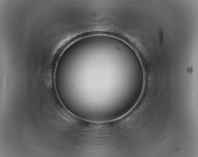 X0000091331262200708171344