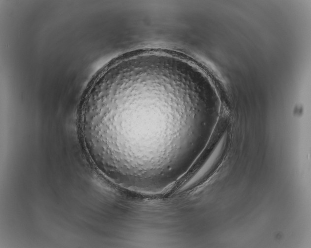 X0000091331264200708171344