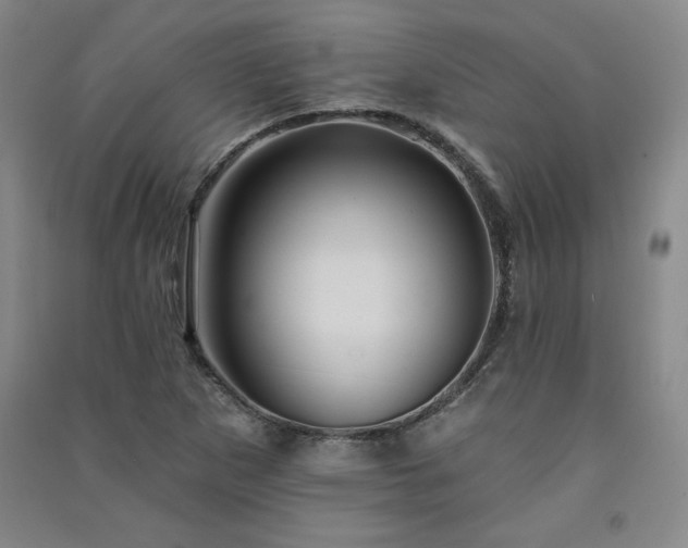 X0000091331265200708171344