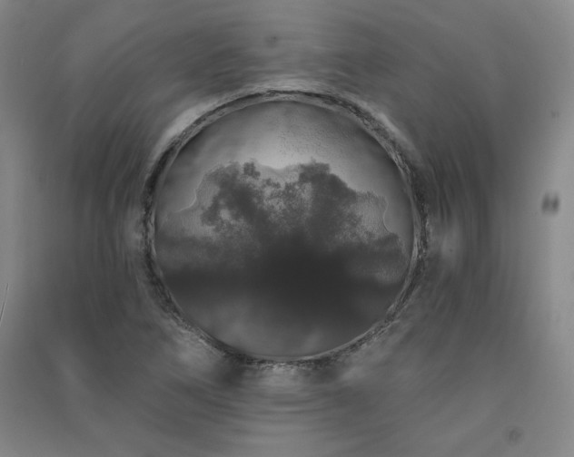 X0000091331266200708171344