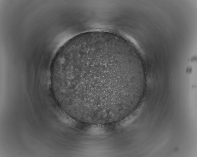 X0000091331267200708171344