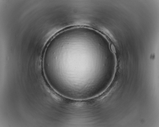 X0000091331268200708171344