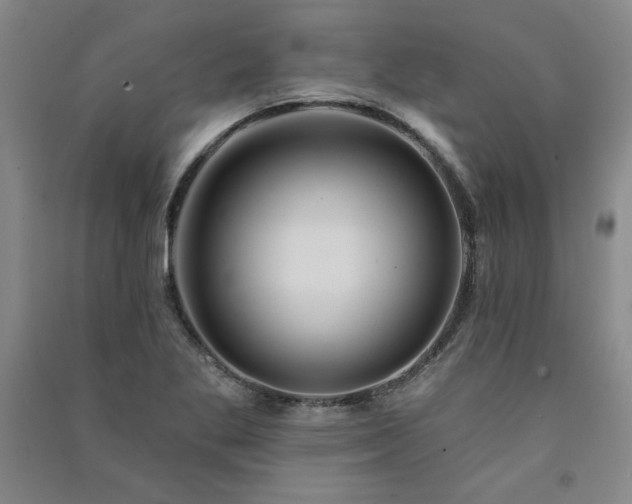 X0000091331269200708171344