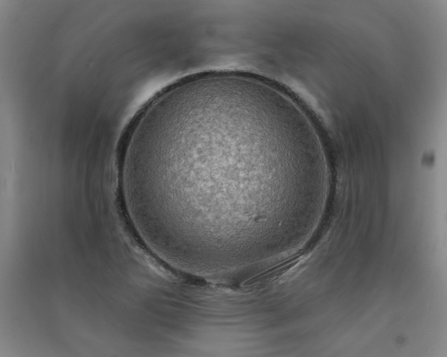 X0000091331270200708171344