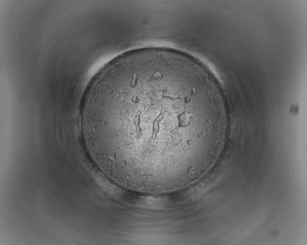 X0000091331271200708171344