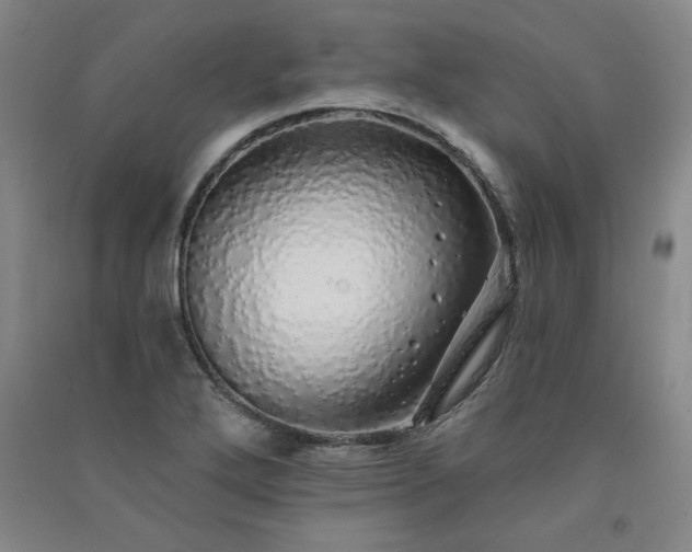 X0000091331272200708171344