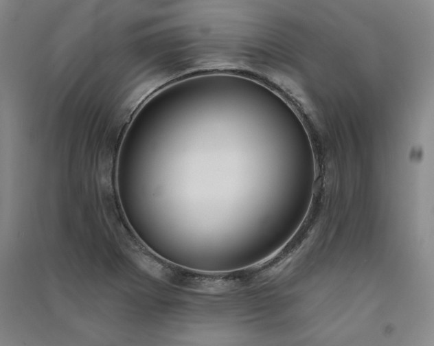 X0000091331273200708171344