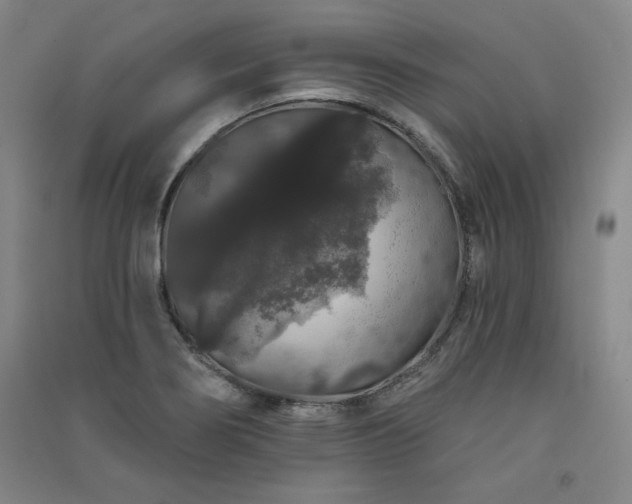 X0000091331274200708171344