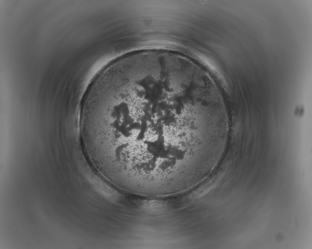 X0000091331275200708171344