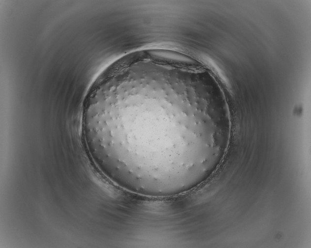 X0000091331276200708171344