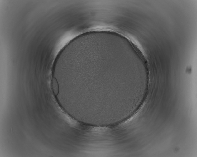 X0000091331277200708171344