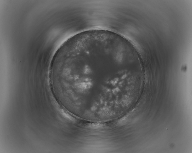 X0000091331278200708171344