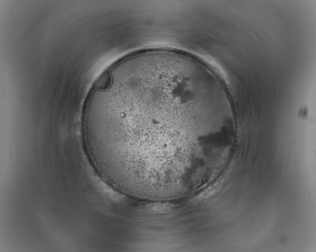 X0000091331279200708171344