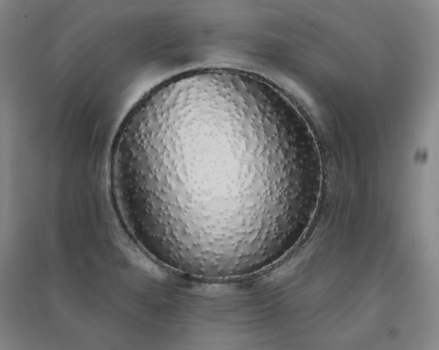 X0000091331280200708171344