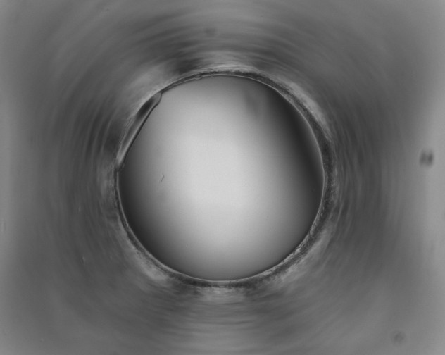 X0000091331281200708171344