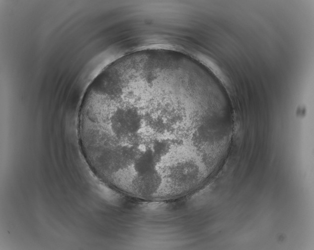 X0000091331282200708171344