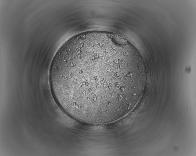 X0000091331283200708171343