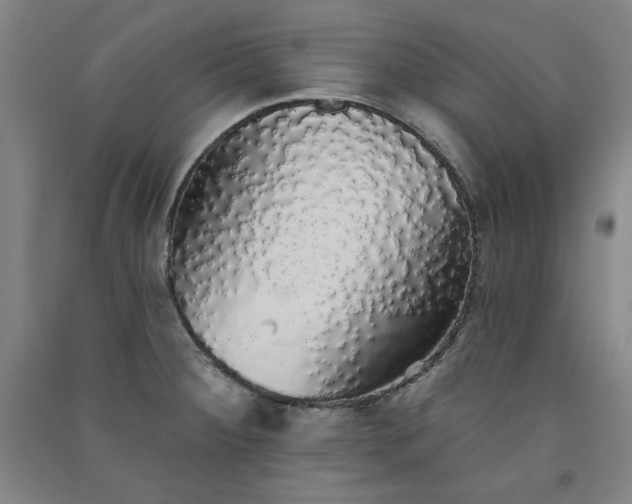 X0000091331284200708171343