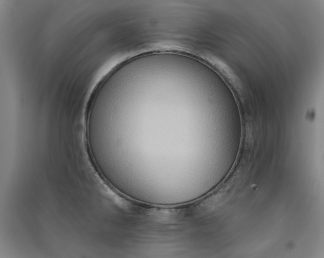 X0000091331286200708171343