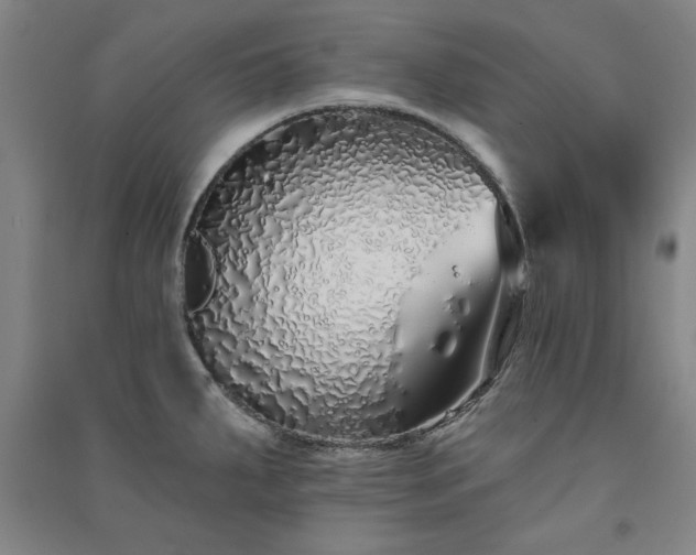 X0000091331287200708171343