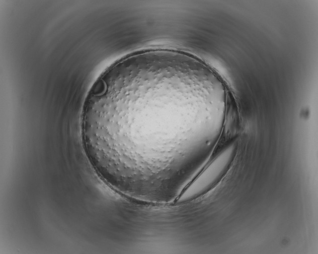 X0000091331288200708171343