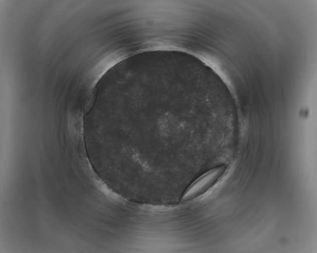 X0000091331289200708171343