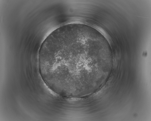 X0000091331290200708171343