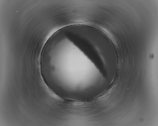 X0000091331291200708171343