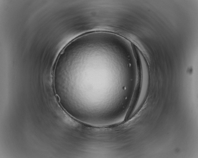 X0000091331292200708171343